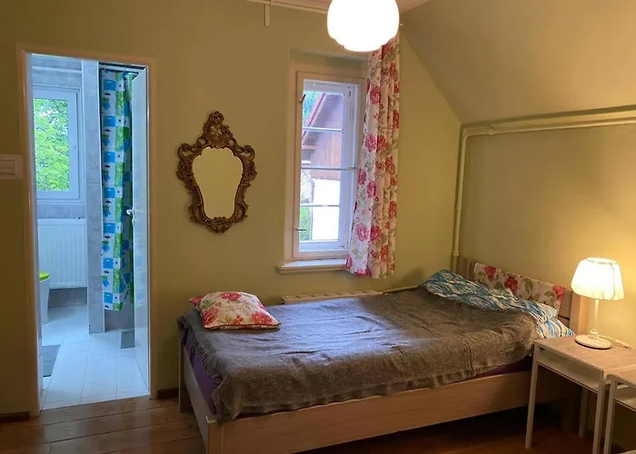 Pod Jelencem I Dom Z Widokiem Na Sniezke Blisko Wang 3* Karpacz