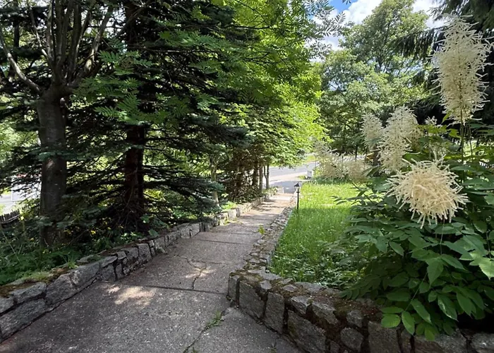 Pod Jelencem I Dom Z Widokiem Na Sniezke Blisko Wang Bed & Breakfast